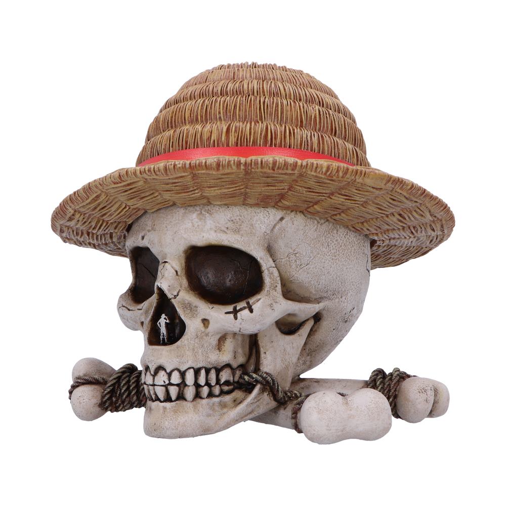 One Piece Luffy Jolly Roger Box 19.5cm